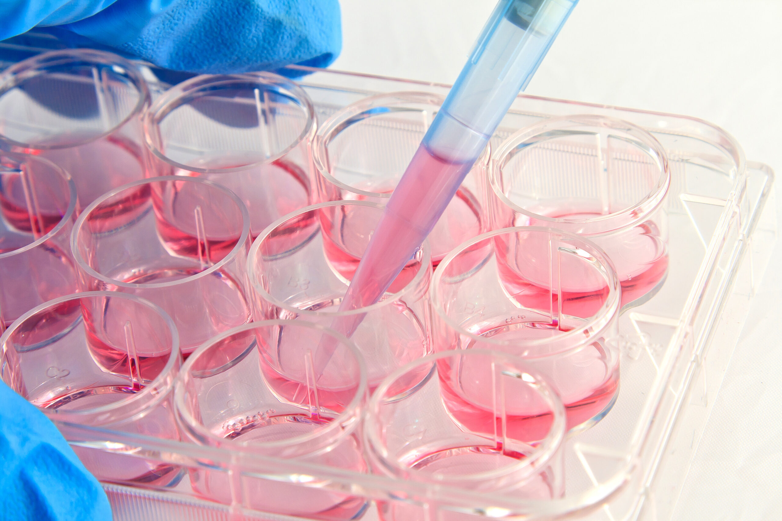 Harrick Plasma 用於 microfluidic cell culture 與細胞培養基板前置處理