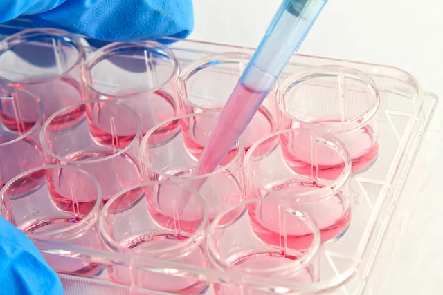 Harrick Plasma 用於 microfluidic cell culture 與細胞培養基板前置處理